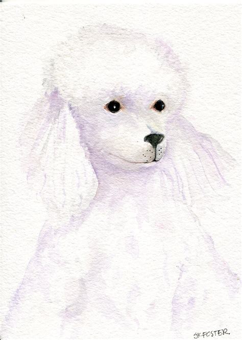 Poodle Watercolor at PaintingValley.com | Explore collection of Poodle ...