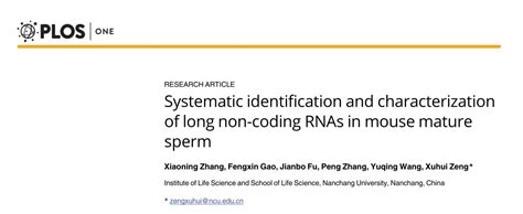 Systematic Identification And Characterization Of Long Non Coding Rnas