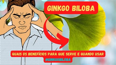 Ginkgo Biloba Quais Os Benef Cios Para Que Serve E Quando Usar