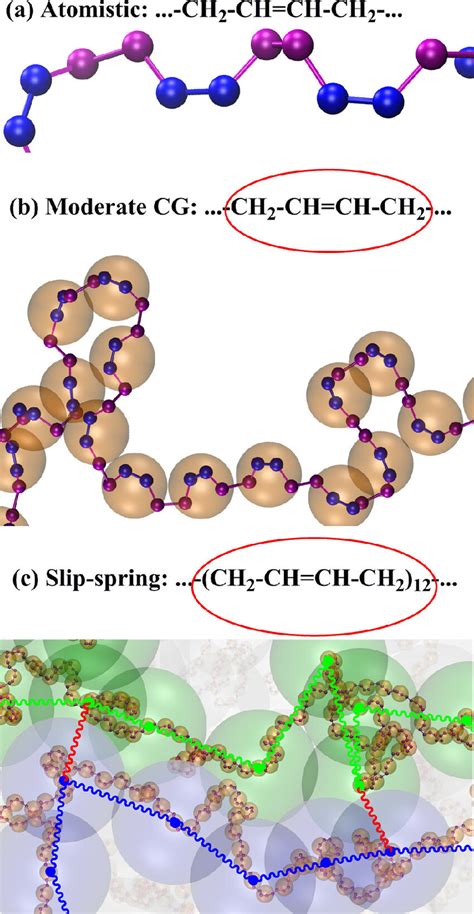 Different Levels Of Description Of Cis 14 Polybutadiene Cpb In Ref