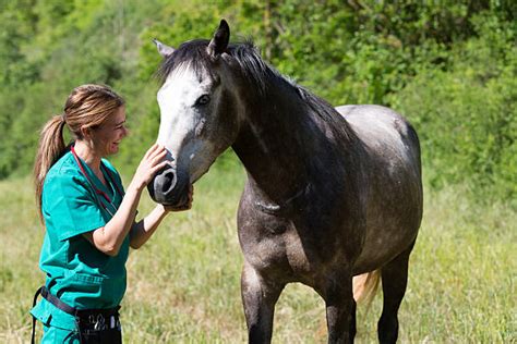 Vet Clinic Outside Stock Photos Pictures And Royalty Free Images Istock
