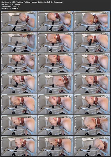 Dildo Training Fucking Machine Edition Rachel Greyhound