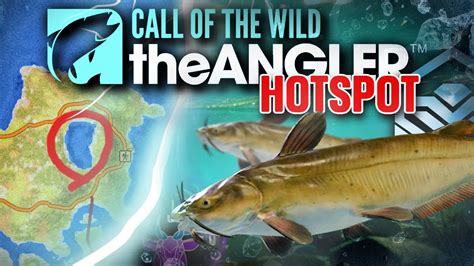 The DIAMOND Guide For Channel Catfish EVERYTHING You Need To Know