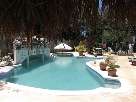 Playing Dominos By The Pool Picture Of Catcha Falling Star Gardens