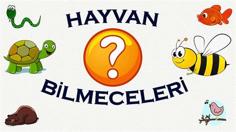 Hayvan Bilmeceleri