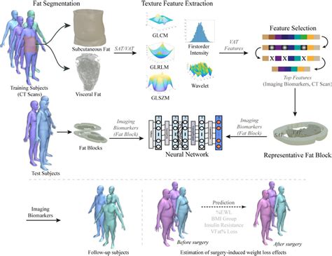 Deciphering Ct Texture Features Of Human Visceral Fat To Evaluate