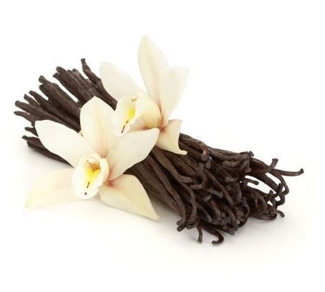 Natural Dried Vanilla Beans At Best Price In Karur Natraya Traders