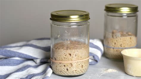 Foolproof Sourdough Starter Recipe