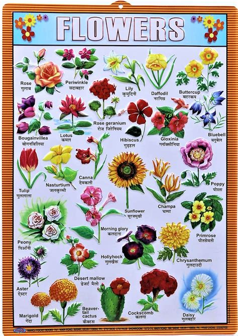 Flower Chart – Large Vibrant Color chart for Flowers - Words in Englis ...