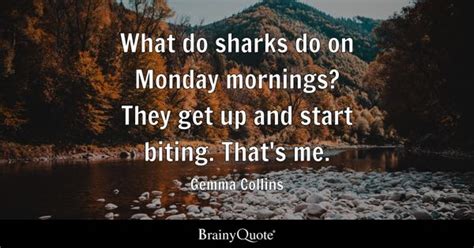 Sharks Quotes - BrainyQuote