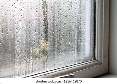 Condensation On Window Glass On Inside Stock Photo 1216462870 | Shutterstock