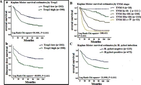 Survival Curves For Gastric Cancer Using The Kaplan Meier Method And Download Scientific