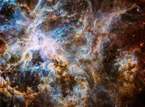 30 Doradus Tarantula Nebula Photograph By Jennifer Rondinelli Reilly