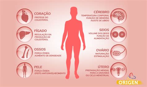 Estrogênio e fertilidade qual a importância do hormônio Clínica