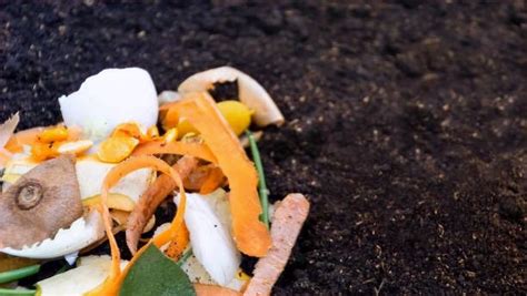 How To Make Compost From Kitchen Waste