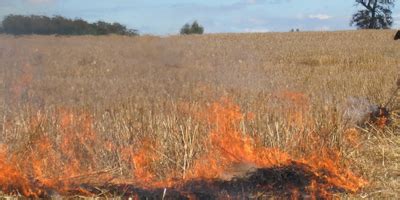 CONAF Los Ríos posterga inicio del calendario de quemas agrícolas 2023