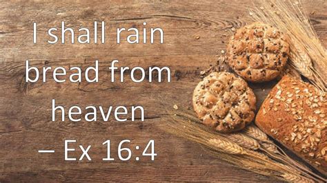 Summary Bread From Heaven Exodus 164 Exodus 164 Bible Portal