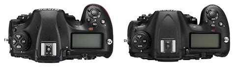 Nikon D500 vs D850: Battle Of The Pro Cameras ⋆ Expert World Travel