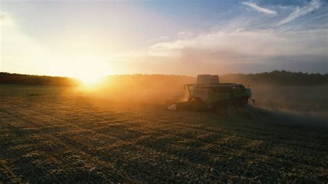 Niwa O Zachodzie S O Ca Pszenica Claas Trion John Deere