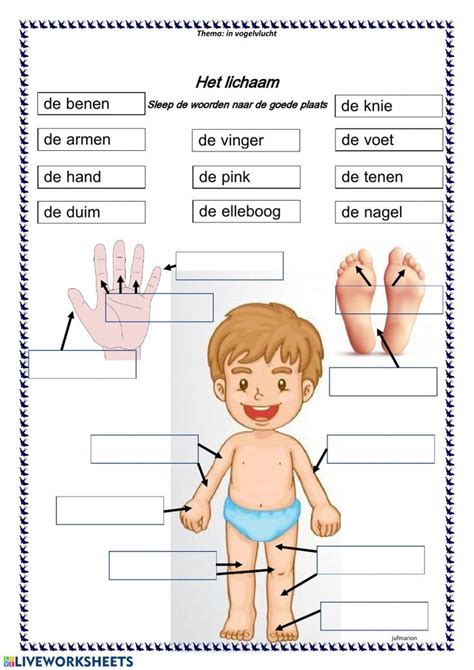 Learning Dutch Worksheets