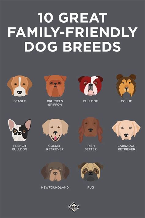 Top 10 Dog Breeds for Family-Friendly and Easy Training