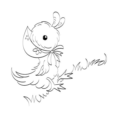 Premium Vector Hand Drawn Bird Outline Illustration