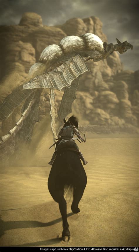 Shadow Of The Colossus Remake Videojuego PS4 Vandal