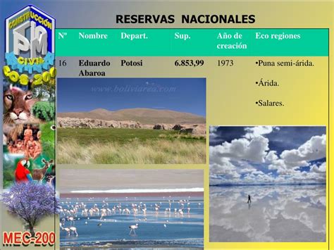 Ppt Ecosistemas En Bolivia Powerpoint Presentation Free Download