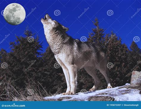 Howling Moon - campestre.al.gov.br