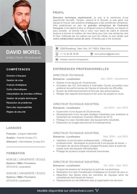 Exemples De Cv Professionnel Pour Se D Marquer En