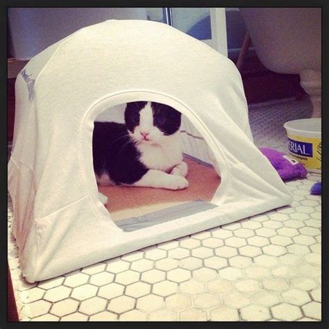 1 Awesome Diy Cat Tent The Owner Builder Network