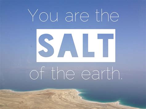 You Are The Salt Salt Of The Earth Scripture Salt