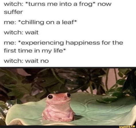 Witch Turns Me Into A Frog Now Suffer Me Chilling On A Leaf Witch