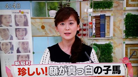 パカパカ工房💉ワクチン3回接種済 On Twitter 【ボニーたんテレビ出演】先ほど、htb『イチオシ！』内でボニーたんことマドレ