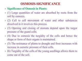 plant water relation, transpiration, root pressure and transpirational pull.pptx