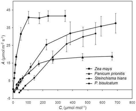 Response Of Net Co Assimilation Rate A To Intercellular Co