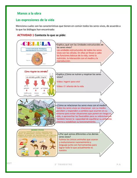 Cuadernillo Actividades Trimestre II Ciencias I PDF