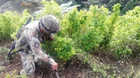 Fotos Ej Rcito Destruy Un Laboratorio Para Procesar Pasta Base De