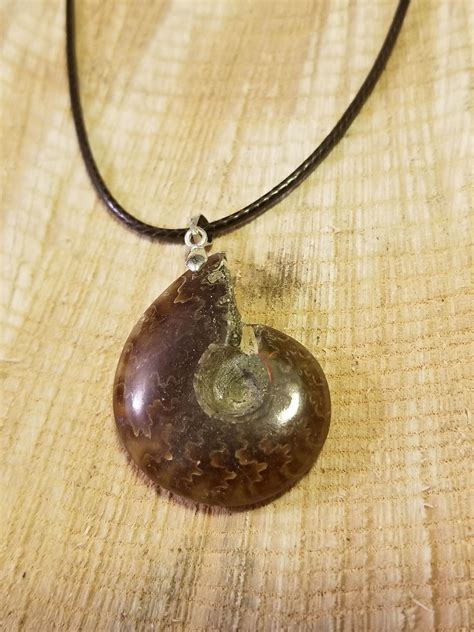 Fossil Ammonite Pendant Necklace Primal Sea Ocean Gem Stone Earth