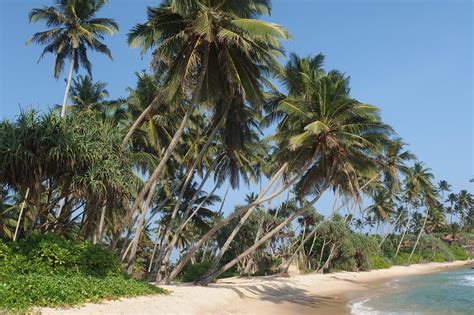 7 Gorgeous Beaches in Sri Lanka That Every Beach Bum Must Visit