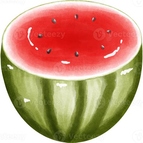 Watermelon Watercolor Collection 47445866 Png