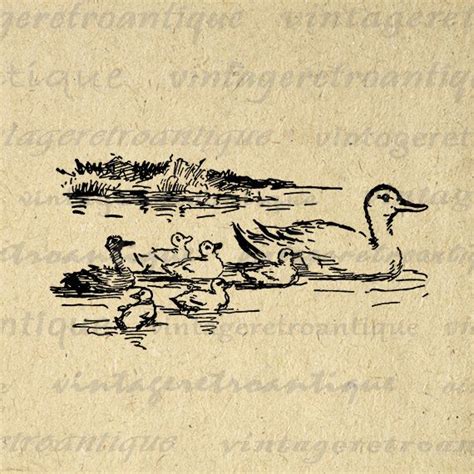 A Drawing Of Ducks Swimming In The Water