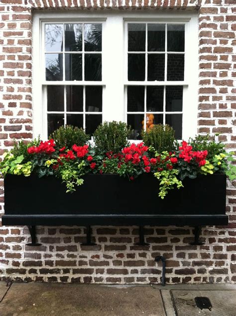 Flowers That Are Good For Window Boxes At Debra Brooks Blog