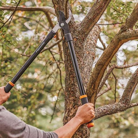 The Best Loppers for Pruning Trees and Shrubs | Leading Lifestyle