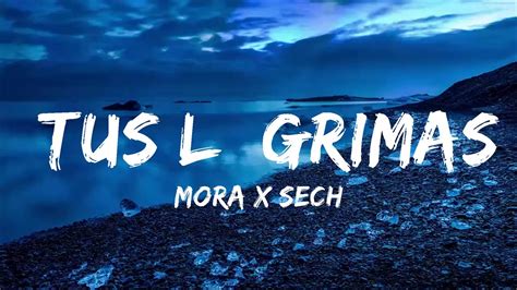 Mora x Sech Tus Lágrimas Letra Lyrics Music Hight YouTube