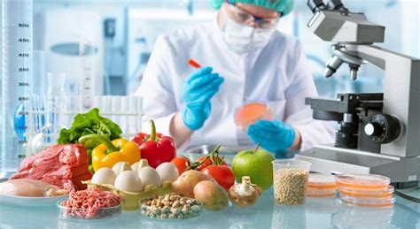 Biotecnología Alimentaria aplicación beneficios y riesgos La