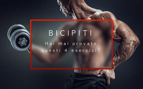 Bicipiti Esercizi Per Braccia Enormi Fit Planet Parma