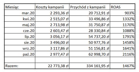 Fly Desk Case Study Roas Na Poziomie Ppcefekt Pl