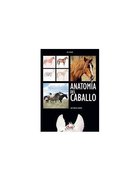 Libro Guía Práctica Ilustrada Anatomía Del Caballo Pferde