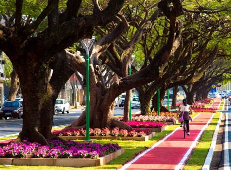 Cerro Azul poderá se tornar Av Dom Jaime Luiz Coelho prefeitura